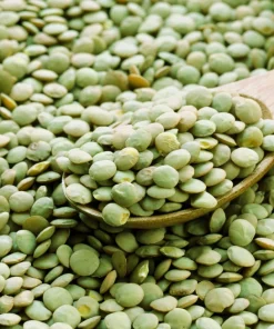 100 Green Lentil Seeds - Lens Culinaris Vegetable Seeds for Garden - Image 5