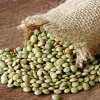 100 Green Lentil Seeds - Lens Culinaris Vegetable Seeds for Garden - Image 1