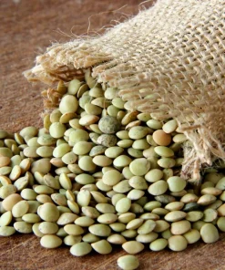 100 Green Lentil Seeds - Lens Culinaris Vegetable Seeds for Garden - Image 1