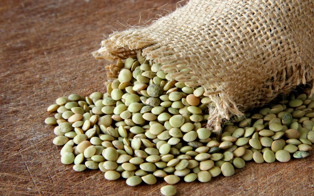 100 Green Lentil Seeds - Lens Culinaris Vegetable Seeds for Garden - Image 1