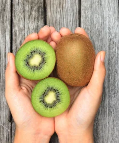 100 Kiwi Fruit Vine Seeds - Hardy Actinidia Kiwi Seeds for Planting - Image 8