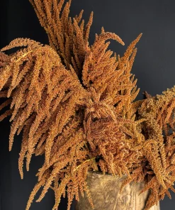 100 Organic Hot Biscuits Amaranthus Seeds - Coppery Bronze Plumes Flower - Image 3