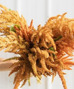 100 Organic Hot Biscuits Amaranthus Seeds - Coppery Bronze Plumes Flower - Image 5