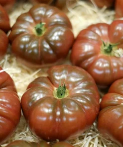 100 Organic Purple Cherokee Tomato Seeds - Heirloom Vegetable - Image 2