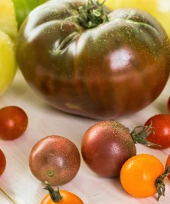 100 Organic Purple Cherokee Tomato Seeds - Heirloom Vegetable - Image 3