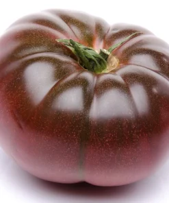100 Organic Purple Cherokee Tomato Seeds - Heirloom Vegetable - Image 4