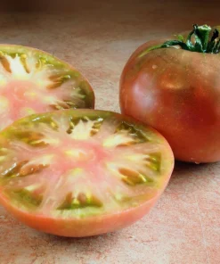 100 Organic Purple Cherokee Tomato Seeds - Heirloom Vegetable - Image 1