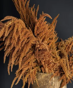 100 Pastel Autumns Touch Amaranthus Cruentus Bronze Coral Apricot Flower Seeds - Image 9