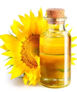 100 Peredovik Sunflower Seeds - Black Oilseed Yellow Flower Seeds - Image 7