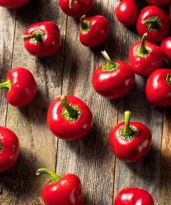 100 Red Cherry Hots Pepper Seeds - Chili Capsicum Annuum Vegetable - Image 4