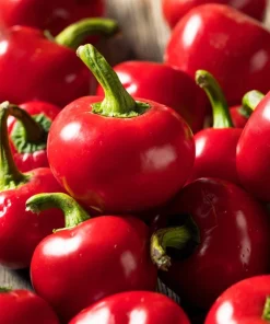 100 Red Cherry Hots Pepper Seeds - Chili Capsicum Annuum Vegetable - Image 5