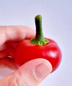 100 Red Sweet Cherry Pepper Seeds - Capsicum Annuum Vegetable Seeds for Planting - Image 2