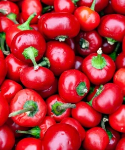 100 Red Sweet Cherry Pepper Seeds - Capsicum Annuum Vegetable Seeds for Planting - Image 6