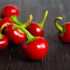 100 Red Sweet Cherry Pepper Seeds - Capsicum Annuum Vegetable Seeds for Planting - Image 1