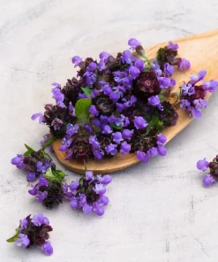 100 Self Heal Prunella Vulgaris Seeds - Purple Herb Flower - Image 13