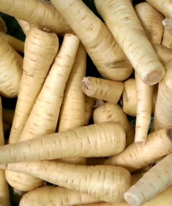 1000 All American Parsnip Seeds - White Root Vegetable, Pastinaca Sativa - Image 4
