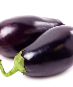 1000 Black Beauty Eggplant Seeds - Solanum Melongena Vegetable Seeds - Image 6