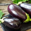 1000 Black Beauty Eggplant Seeds - Solanum Melongena Vegetable Seeds - Image 1