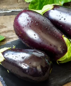 1000 Black Beauty Eggplant Seeds - Solanum Melongena Vegetable Seeds - Image 1