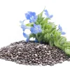1000 Chia Sage Seeds - Salvia Hispanica Flower Seeds - Blue Violet - Attracts Pollinators - Image 1