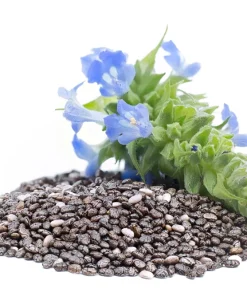 1000 Chia Sage Seeds - Salvia Hispanica Flower Seeds - Blue Violet - Attracts Pollinators - Image 1