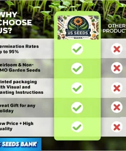 1000 Emerald Zoysia Grass Seeds – Premium Lawn Turf Drought & Heat Tolerant - Image 3