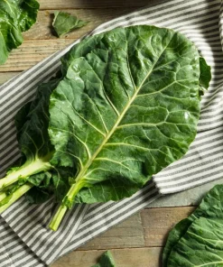 1000 Georgia Collard Seeds - Southern Walking Collard Greens Brassica Oleracea - Image 2