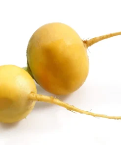 1000 Golden Ball Turnip Heirloom Yellow Vegetable Seeds - Brassica Rapa - Image 12