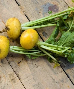1000 Golden Ball Turnip Heirloom Yellow Vegetable Seeds - Brassica Rapa - Image 7