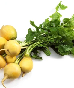 1000 Golden Ball Turnip Heirloom Yellow Vegetable Seeds - Brassica Rapa - Image 1