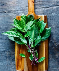 1000 Licorice Basil Seeds - Ocimum Basilicum Herb Flower Seeds for Garden - Image 7