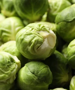 1000 Long Island Improved Brussel Sprouts Seeds - Brassica Oleracea - Image 6