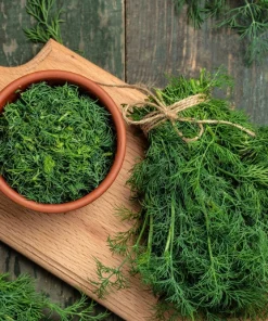 1000 Long Island Mammoth Dill Seeds - Anethum Graveolens Herb Flower Seeds for Garden - Image 3