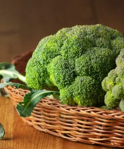 1000 Organic Di Cicco Broccoli Seeds - Brassica Oleracea Vegetable Seeds - Image 4