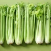 1000 Tall Utah Celery Seeds - Apium Graveolens Dulce Vegetable Seeds - Image 1