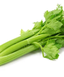 1000 Tall Utah Celery Seeds - Apium Graveolens Dulce Vegetable Seeds - Image 8