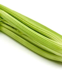 1000 Tall Utah Celery Seeds - Apium Graveolens Dulce Vegetable Seeds - Image 9
