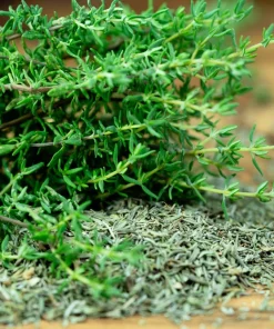 1000 Thyme Common English Herb Seeds - Thymus Vulgaris Winter Garden - Image 4