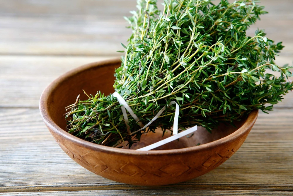 1000 Thyme Common English Herb Seeds - Thymus Vulgaris Winter Garden - Image 5