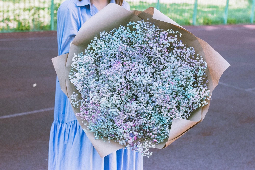 1000 White Baby's Breath 'Covent Garden' Gypsophila Elegans Flower Seeds - Image 7