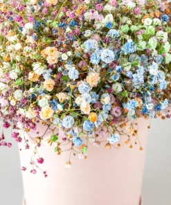 1000 White Baby's Breath 'Covent Garden' Gypsophila Elegans Flower Seeds - Image 9