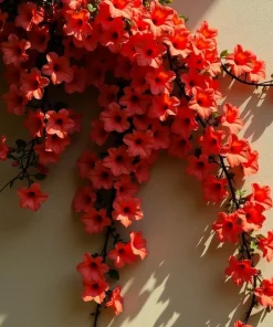 12 Organic Red Trumpet Vine Seeds - Perennial Hummingbird Attractor - Image 4