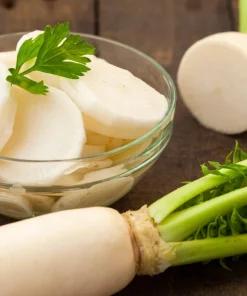 1250 White Icicle Radish Seeds - Fast Growing Vegetable Seeds - Image 5