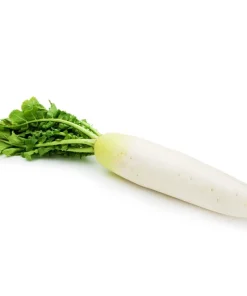 1250 White Icicle Radish Seeds - Fast Growing Vegetable Seeds - Image 6