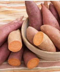 15 Beauregard Sweet Potato Plants - Organic Slips for Growing - Image 5