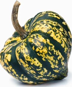 15 Heart of Gold Acorn Squash Seeds - Winter Vegetable Cucurbita Pepo - Image 4