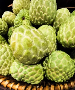 15 Sugar Apple Seeds - Sweetsop Annona Squamosa Fruit Tree Seeds - Image 3
