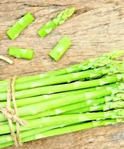 150+ Asparagus Seeds - Perennial Vegetable, Heirloom, Non-GMO for Gardens - Image 2