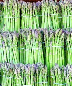 150+ Asparagus Seeds - Perennial Vegetable, Heirloom, Non-GMO for Gardens - Image 3