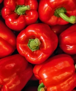 150 Big Red Bell Pepper Seeds – Sweet Capsicum Annuum Vegetable Seeds - Image 6